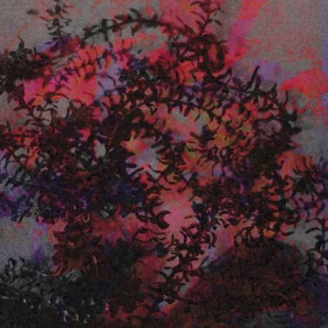 Ricardo Tobar – If I Love You