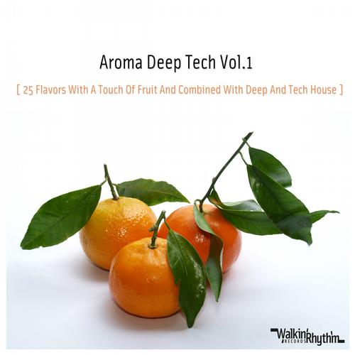 Aroma Deep Tech Vol 1, 25 Flavors With A Touch Of Fruit & Combined With Deep & Tech House)