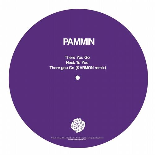 image cover: Pammin - There You Go (Incl. Karmon Remix)