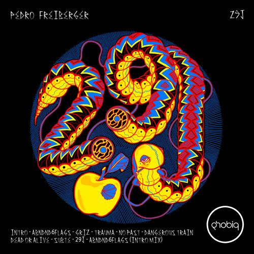 image cover: Pedro Freiberger - 29J