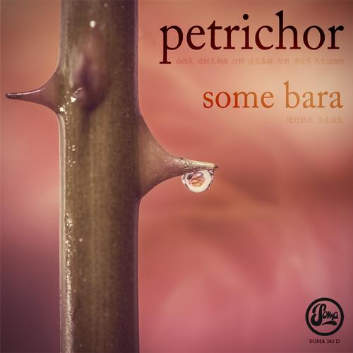 image cover: Petrichor - Some Bara