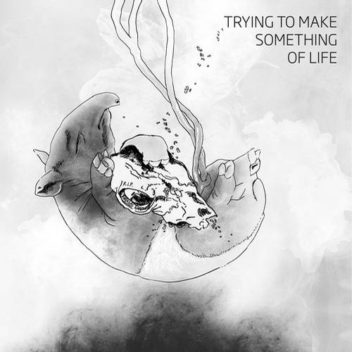 image cover: Tapirus - Trying To Make Something Of Life
