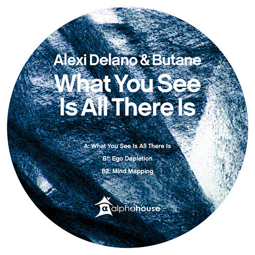 image cover: Alexi Delano & Butane - What You See Is All There Is