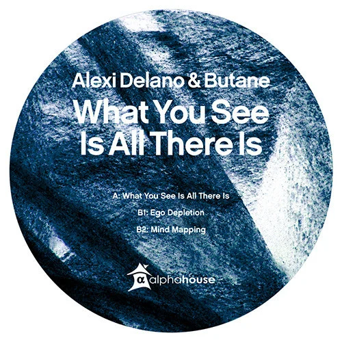 image cover: Alexi Delano & Butane - What You See Is All There Is