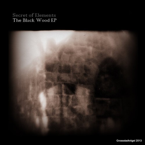 image cover: Secret Of Elements - Black Wood Ep