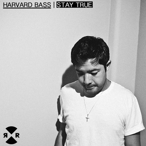 image cover: Harvard Bass, Green Velvet - Stay True