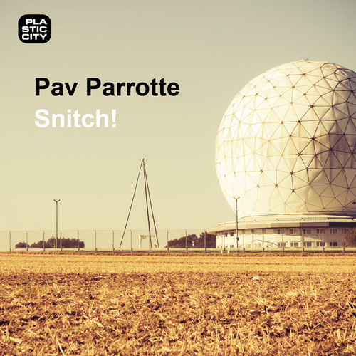 image cover: Pav Parrotte - Snitch!