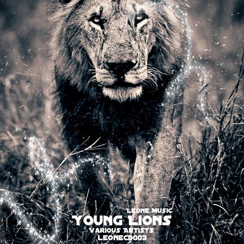 image cover: VA - Young Lions Compilation