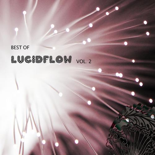 image cover: VA - Best Of Lucidflow Vol. 2