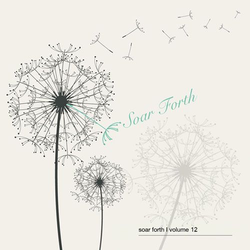 image cover: VA - Soar Forth Vol. 12