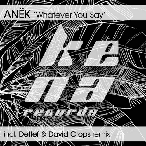 Anek Whatever You Say Anek - Whatever You Say