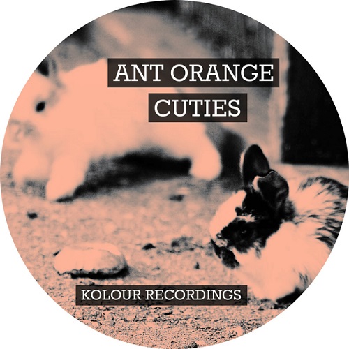 Ant Orange - Cuties
