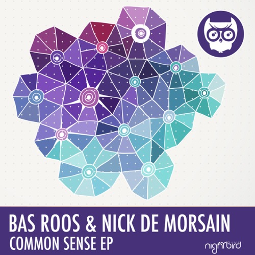 image cover: Bas Roos, Nick De Morsain - Common Sense EP