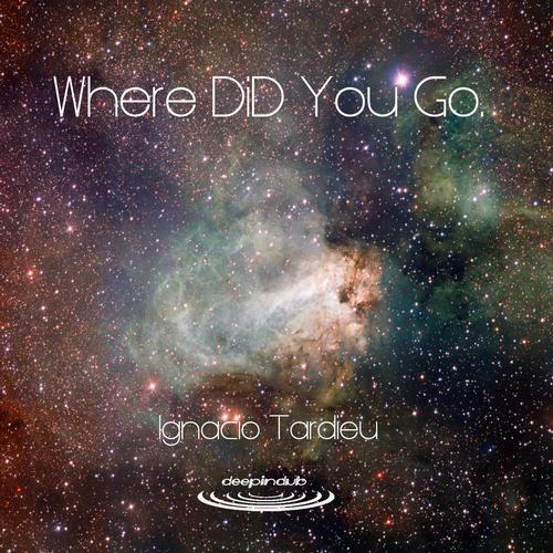 image cover: Ignacio Tardieu - Where DID You Go