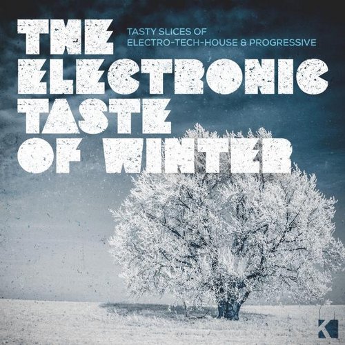 VA - The Electronic Taste Of Winter (Tasty Slices Of Electro-Tech-House & Progressive)