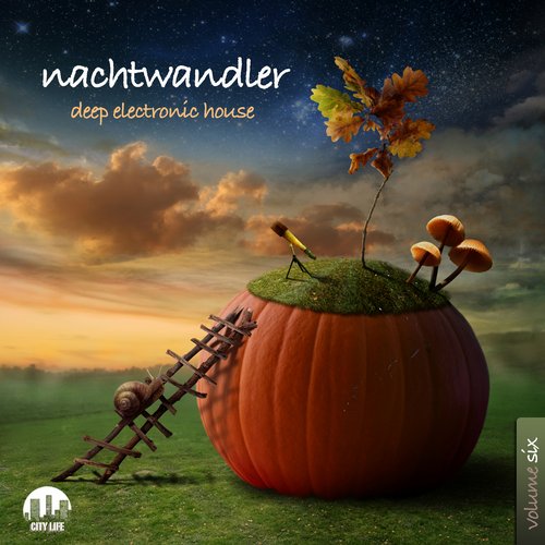 image cover: VA - Nachtwandler Vol. 6 - Deep Electronic House