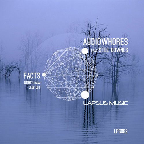 Audiowhores & Stee Downes - Facts - Noir's Raw Club Cut