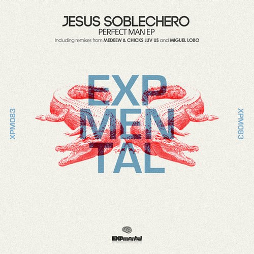 Jesus Soblechero - Perfect Man