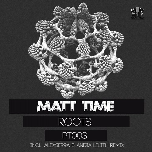 image cover: Matt Time - Roots