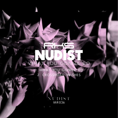 image cover: Nudist - What You Gonna Do