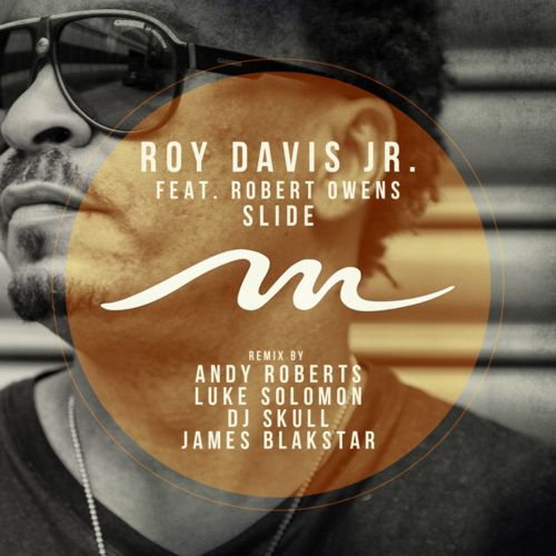 image cover: Roy Davis Jr feat. Robert Owens – Slide (remixes)