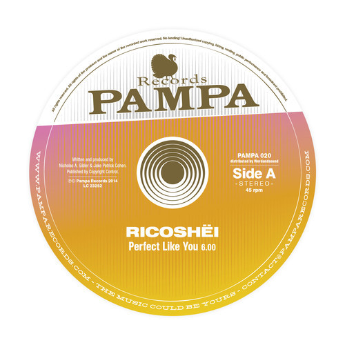 image cover: Ricoshei & Dave DK - Perfect Like You / Woolloomooloo