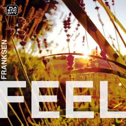 image cover: Franksen - Feel (+Terry Lee Brown Junior Remix)