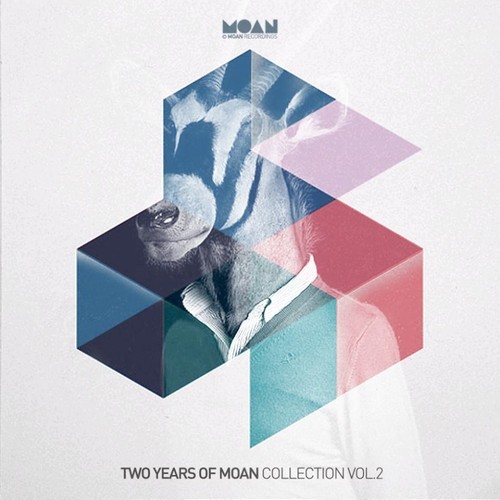image cover: VA - 2 Years Of Moan Collection Vol.2