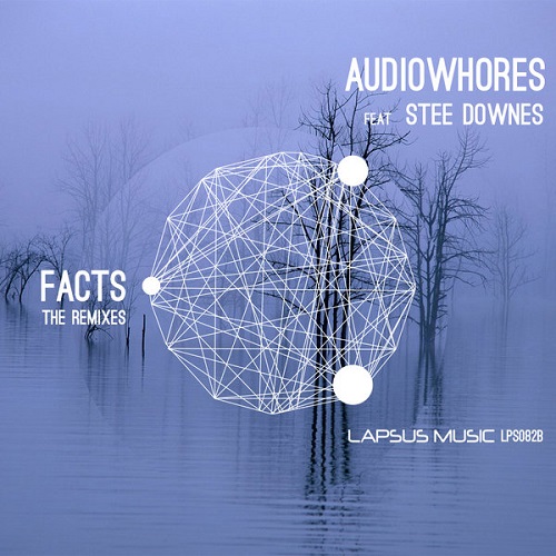 image cover: Audiowhores, Stee Downes - Facts The Remixes