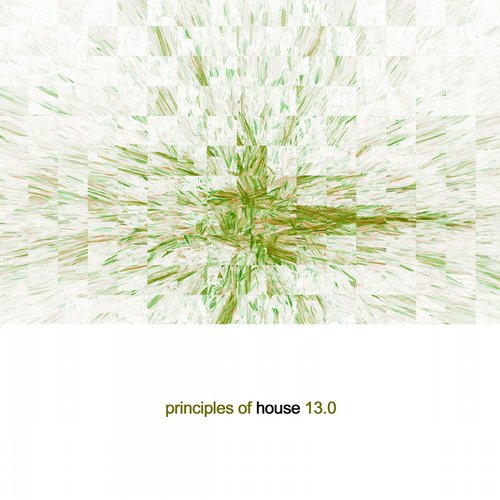 image cover: VA - Principles Of House Vol 13