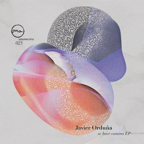 image cover: Javier Orduna - Se Hace Camino EP