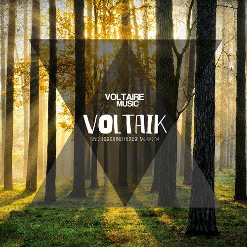 image cover: Voltaik #14