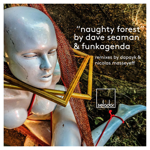 image cover: Dave Seaman & Funkagenda - Naughty Forest