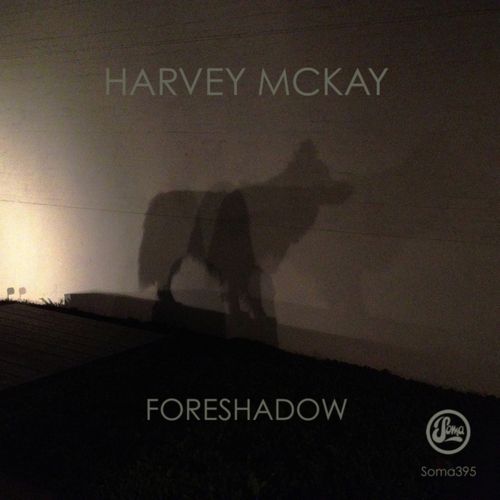 image cover: Harvey Mckay - Foreshadow