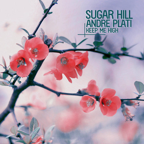 image cover: Sugar Hill & Andre Plati - Keep Me High