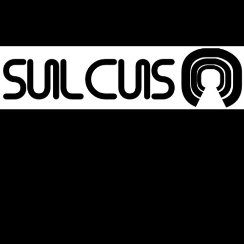 Sulcus - Jumping On The Bass