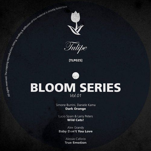 image cover: VA - Bloom Series Vol.1
