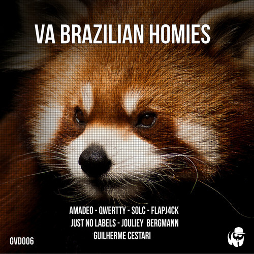 image cover: VA - Brazilian Homies