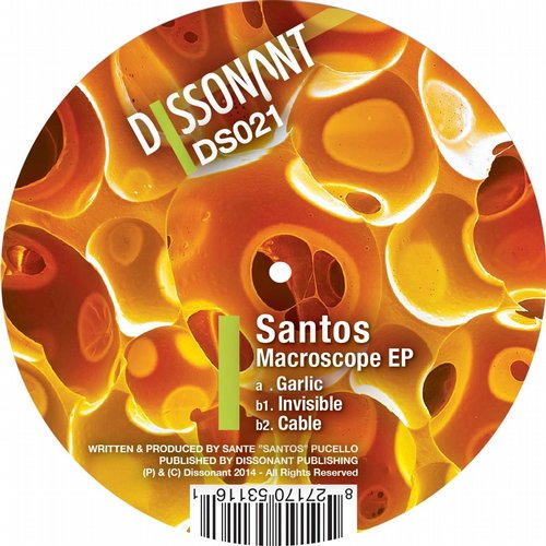 image cover: Santos - Macroscope