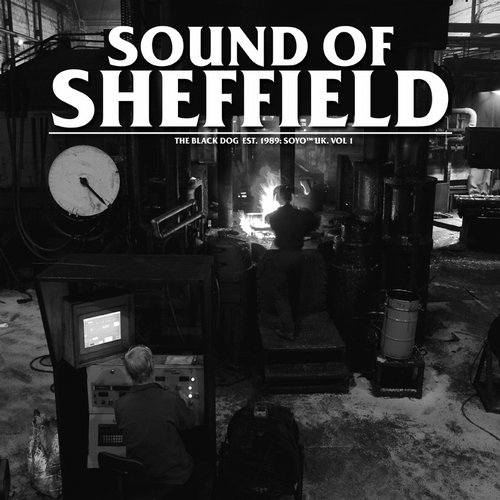 image cover: The Black Dog - Sound Of Sheffield