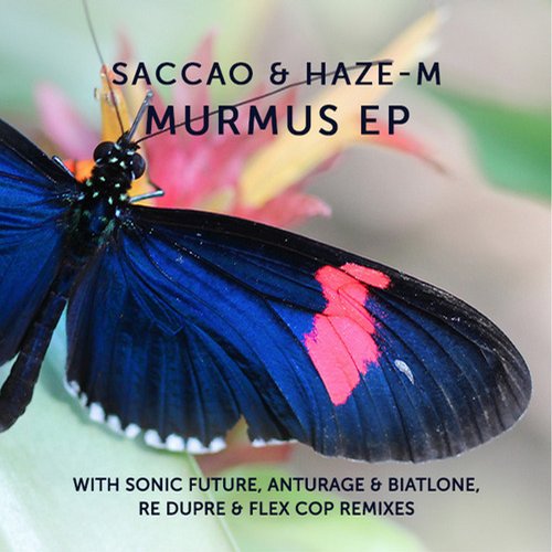 image cover: Saccao, Haze-M - Murmus EP