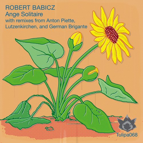9223177 Robert Babicz - Ange Solitaire