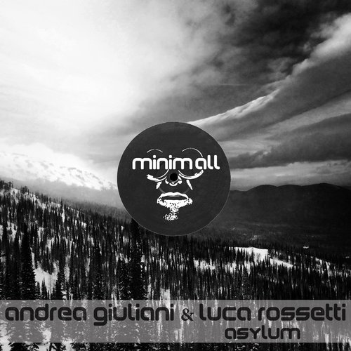 9254558 Andrea Giuliani Luca Rossetti - Asylum