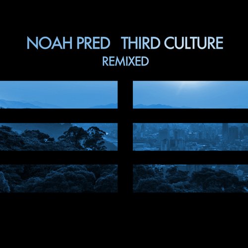 9269806 Noah Pred - Third Culture Remixed