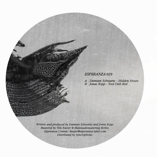 image cover: Damian Schwartz & Jonas Kopp - Esperanza 029