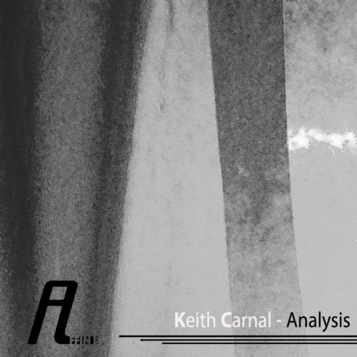 CS2437997 02A BIG Keith Carnal - Analysis