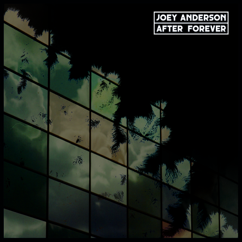 image cover: Joey Anderson - After Forever