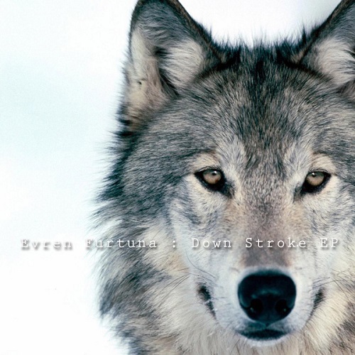 image cover: Evren Furtuna - Down Stroke EP