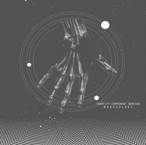 Morphology – Identity Component Remixes