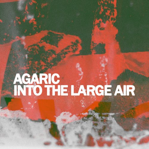 image cover: Agaric - Into The Large Air